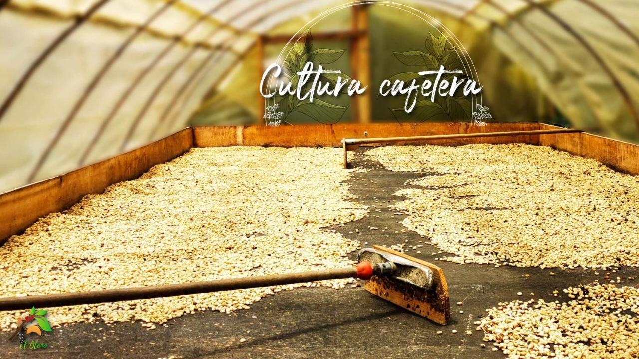 Finca Tradicional El Otono Pijao ภายนอก รูปภาพ