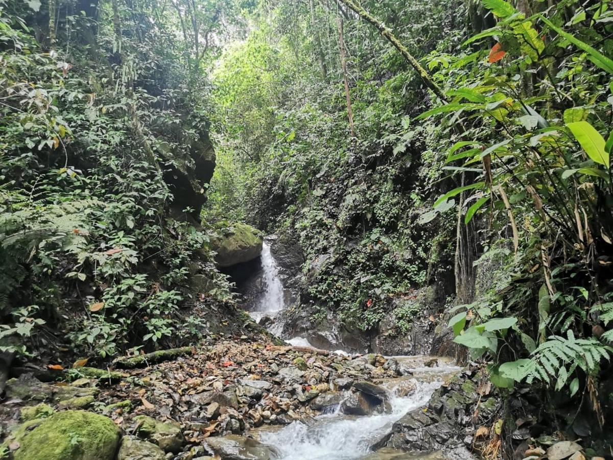 Finca Tradicional El Otono Pijao ภายนอก รูปภาพ