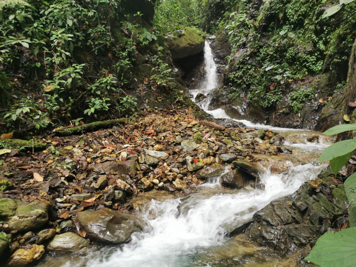 Finca Tradicional El Otono Pijao ภายนอก รูปภาพ