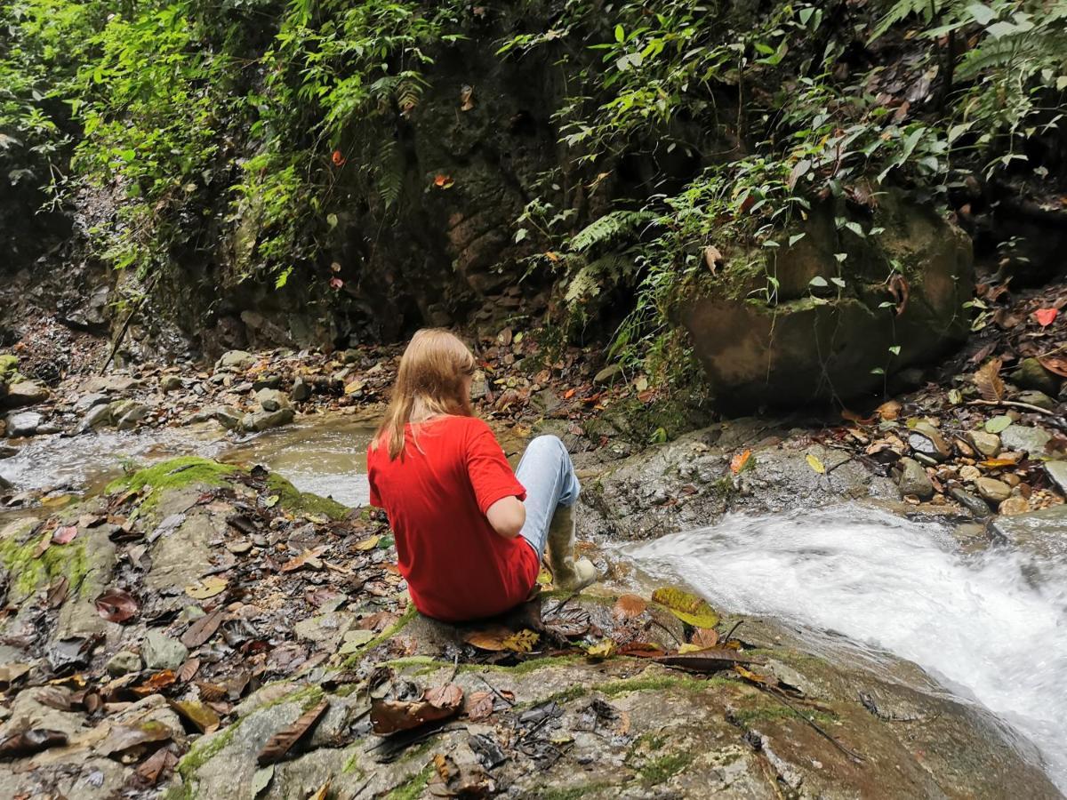Finca Tradicional El Otono Pijao ภายนอก รูปภาพ