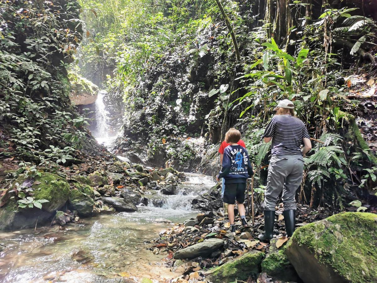Finca Tradicional El Otono Pijao ภายนอก รูปภาพ