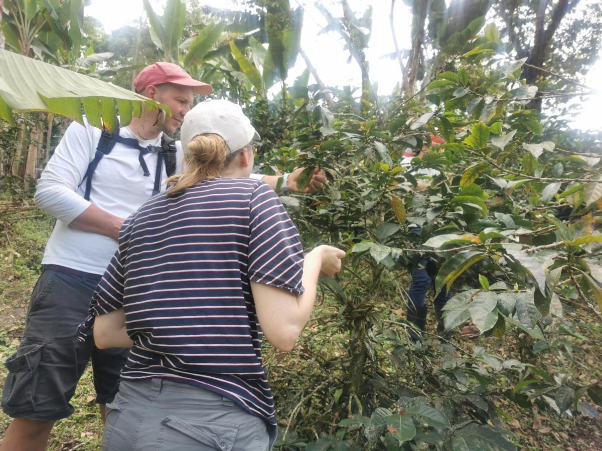 Finca Tradicional El Otono Pijao ภายนอก รูปภาพ