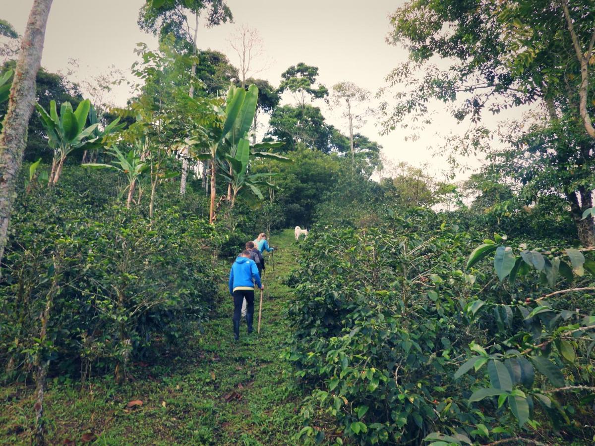 Finca Tradicional El Otono Pijao ภายนอก รูปภาพ