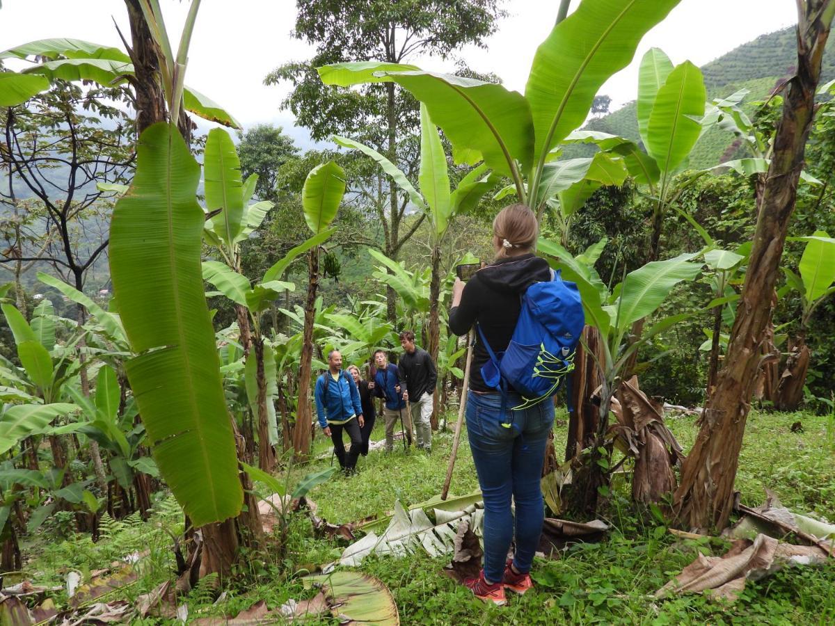 Finca Tradicional El Otono Pijao ภายนอก รูปภาพ