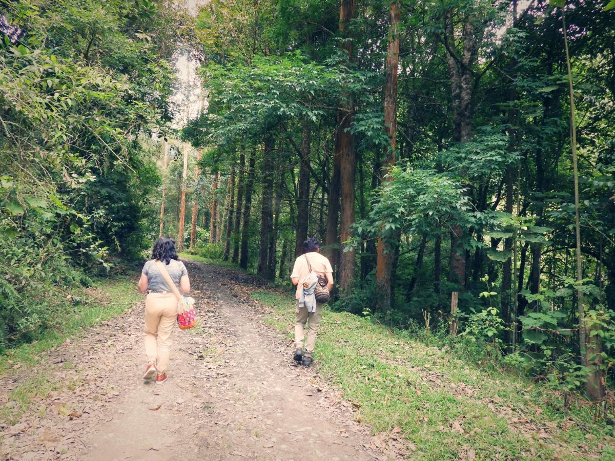Finca Tradicional El Otono Pijao ภายนอก รูปภาพ