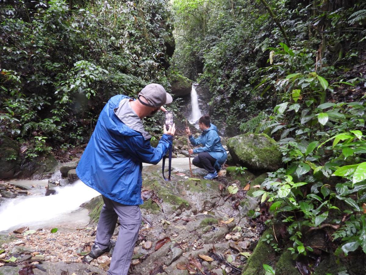 Finca Tradicional El Otono Pijao ภายนอก รูปภาพ