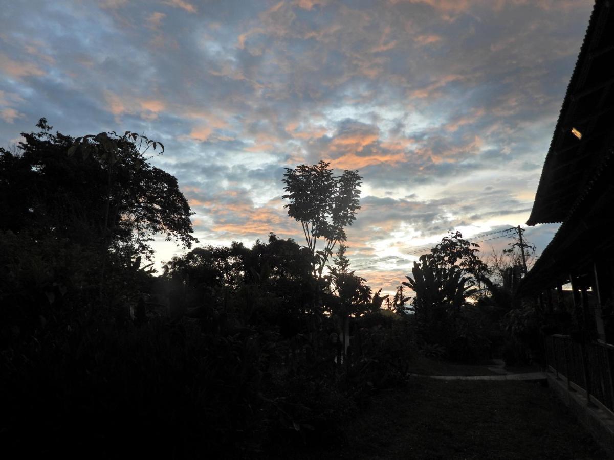 Finca Tradicional El Otono Pijao ภายนอก รูปภาพ
